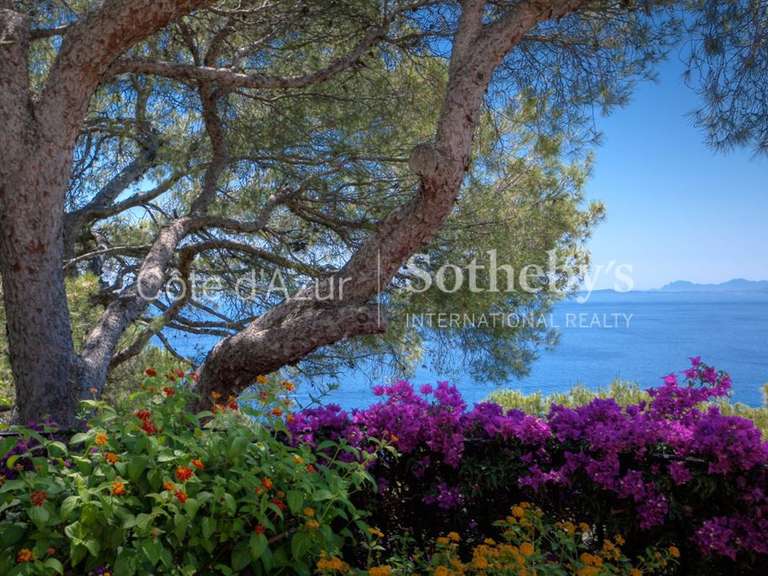 Maison avec Vue sur mer Saint-Jean-Cap-Ferrat - 8 chambres - 295m²