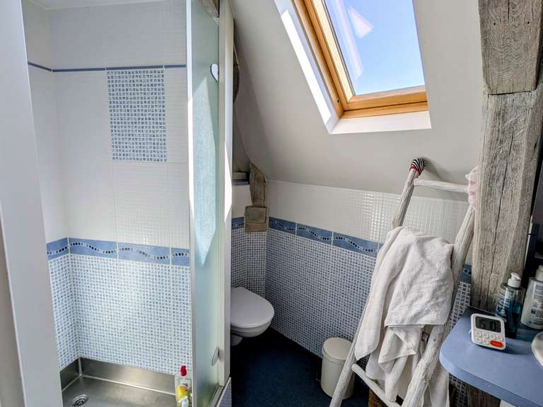 Maison Saint-Jean-de-Braye - 5 chambres - 427m²