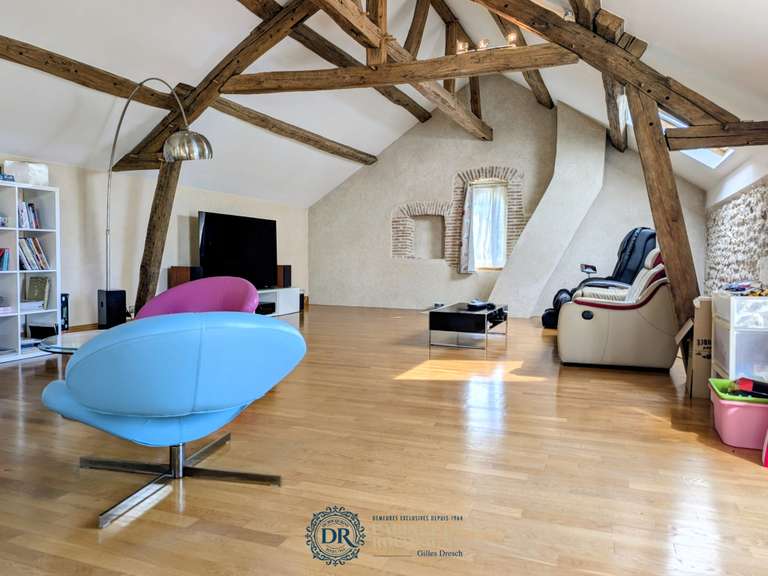 Maison Saint-Jean-de-Braye - 5 chambres - 427m²