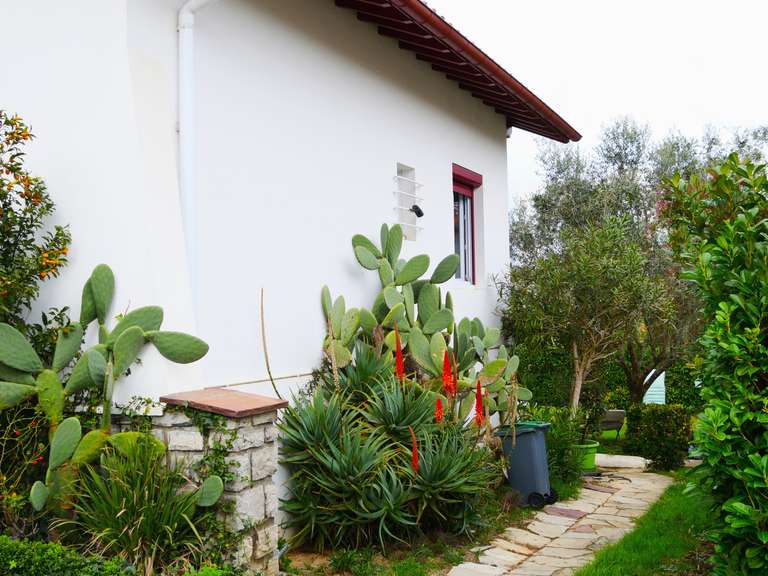 Maison Saint-Jean-de-Luz - 4 chambres - 158m²