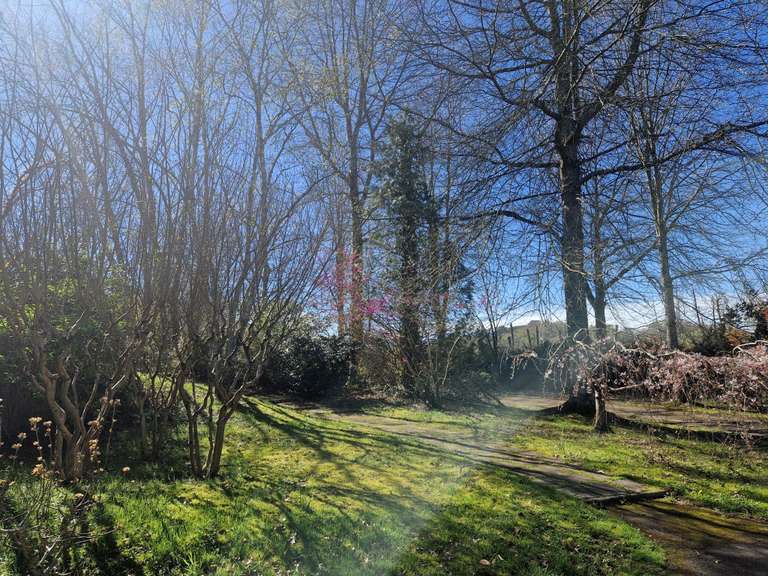 Maison Saint-Jean-de-Luz - 6 chambres - 263m²