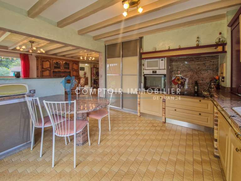 House Saint-Jean-de-Moirans - 4 bedrooms - 197m²