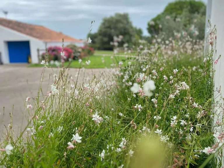 House Saint-Jean-de-Monts