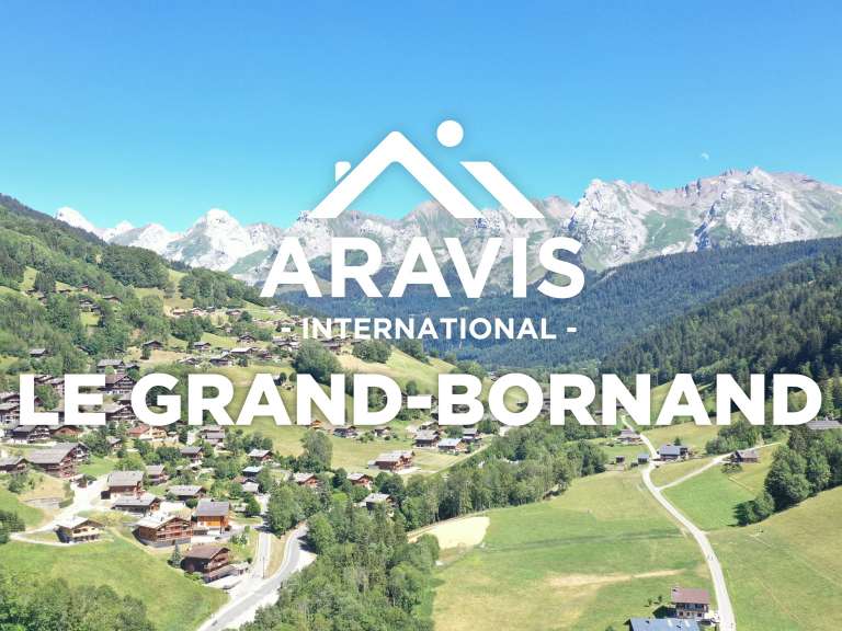 Appartement Saint-Jean-de-Sixt - 3 chambres - 94m²