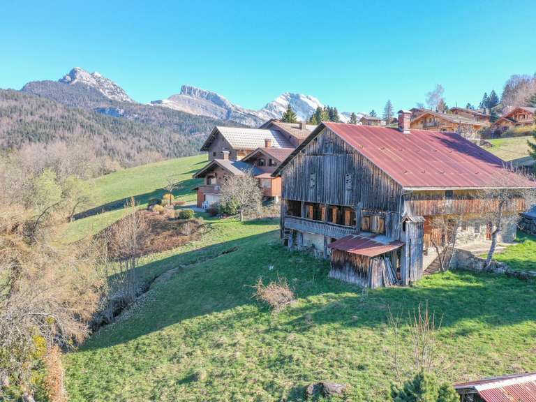 Maison Saint-Jean-de-Sixt - 3 chambres - 326m²