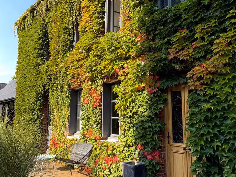 Maison Saint-Jean-du-Cardonnay - 4 chambres - 254m²