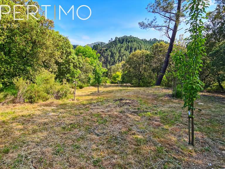 Maison Saint-Jean-du-Gard - 4 chambres - 182m²