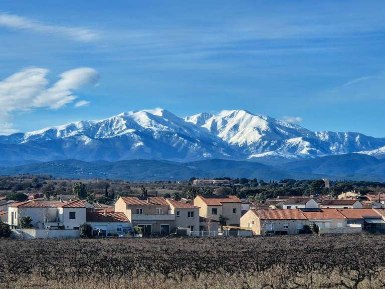 Maison Saint-Jean-Lasseille - 4 chambres - 165m²