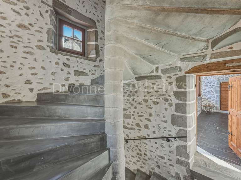 Château Saint-Julien-en-Genevois - 12 chambres - 1077m²