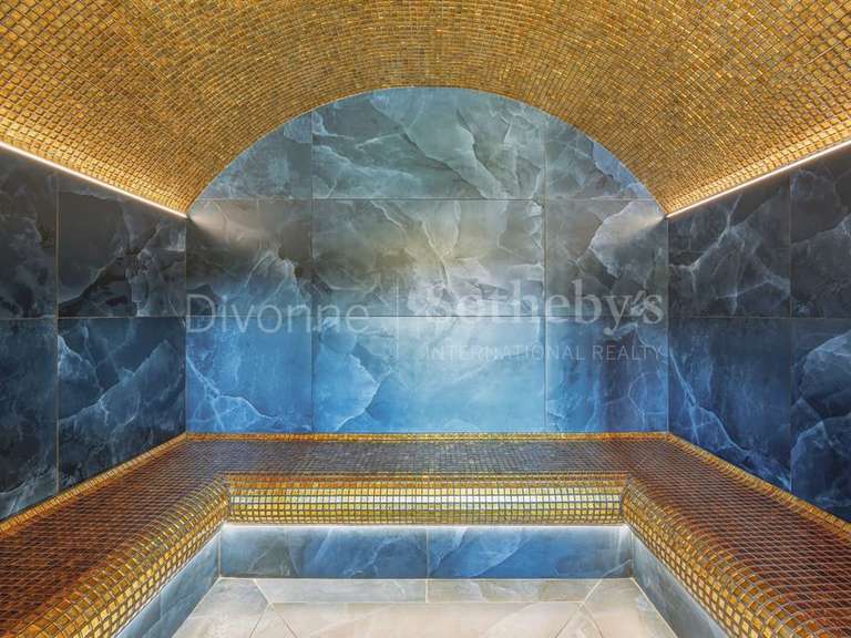 Château Saint-Julien-en-Genevois - 12 chambres - 1077m²