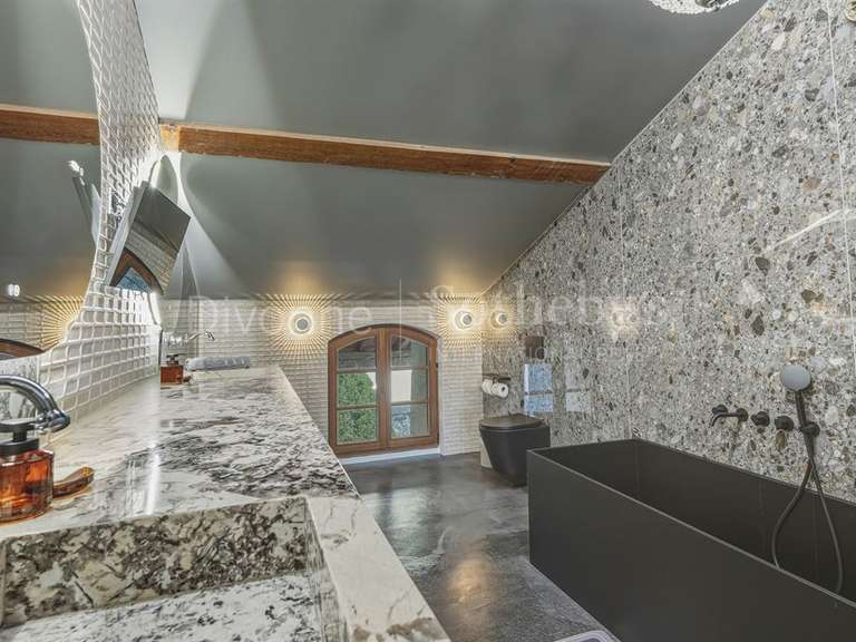 Château Saint-Julien-en-Genevois - 12 chambres - 1077m²