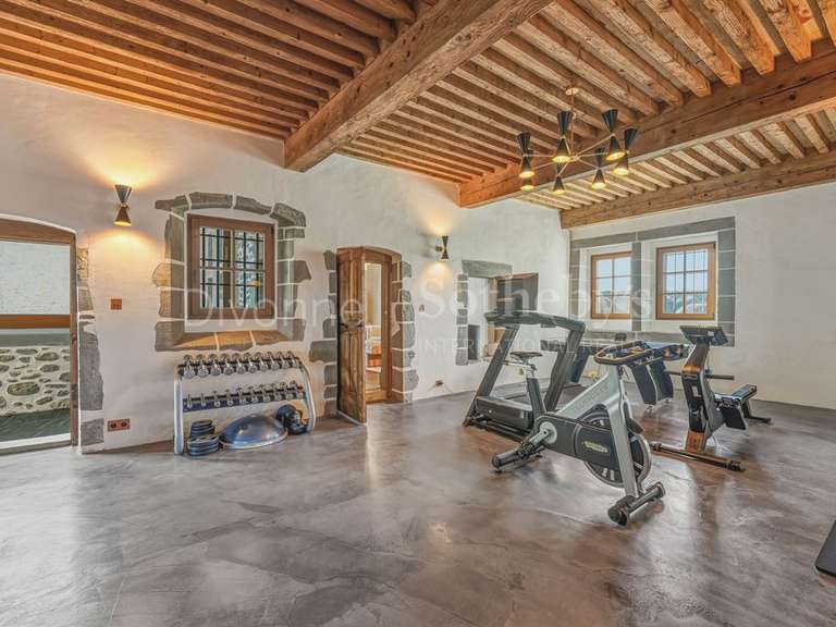 Château Saint-Julien-en-Genevois - 12 chambres - 1077m²