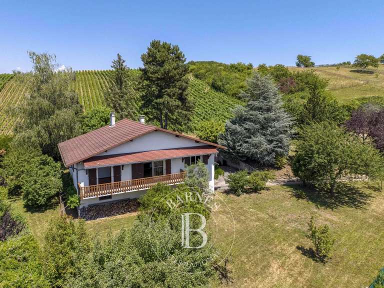 Maison Saint-Julien-en-Genevois - 4 chambres - 299m²