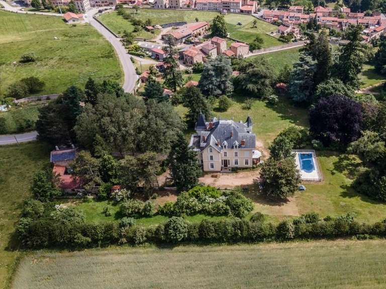 Castle Saint-Julien-Molin-Molette - 7 bedrooms - 595m²