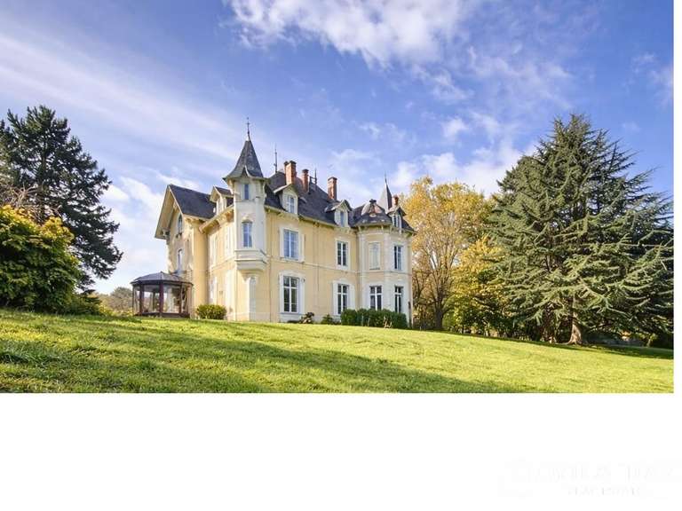 Château Saint-Julien-Molin-Molette - 7 chambres - 595m²