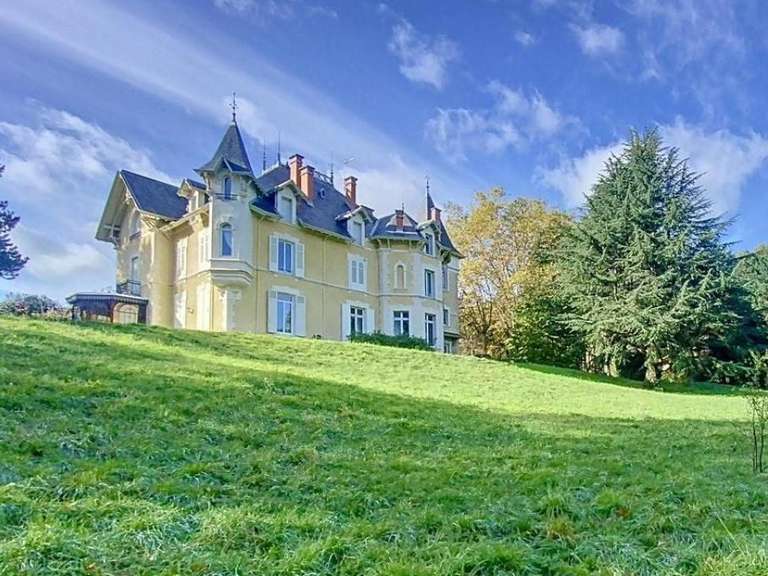 Castle Saint-Julien-Molin-Molette - 7 bedrooms - 595m²