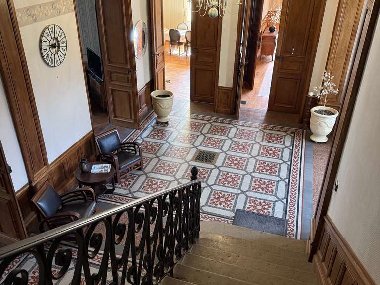 Castle Saint-Julien-Molin-Molette - 7 bedrooms - 595m²