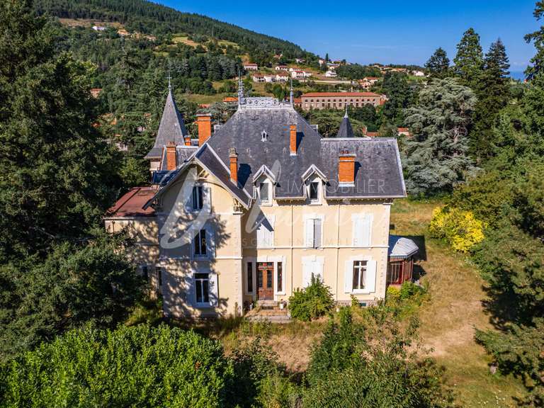 Propriété Saint-Julien-Molin-Molette - 12 chambres - 597m²