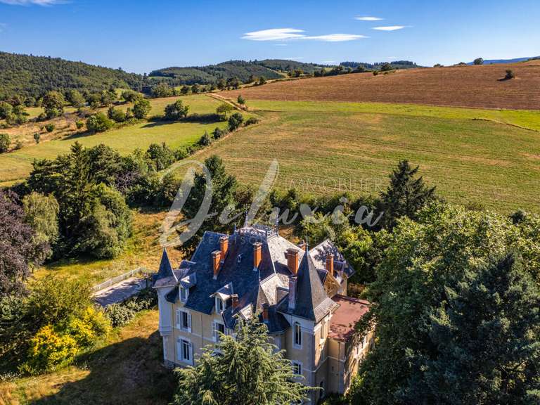 Propriété Saint-Julien-Molin-Molette - 12 chambres - 597m²