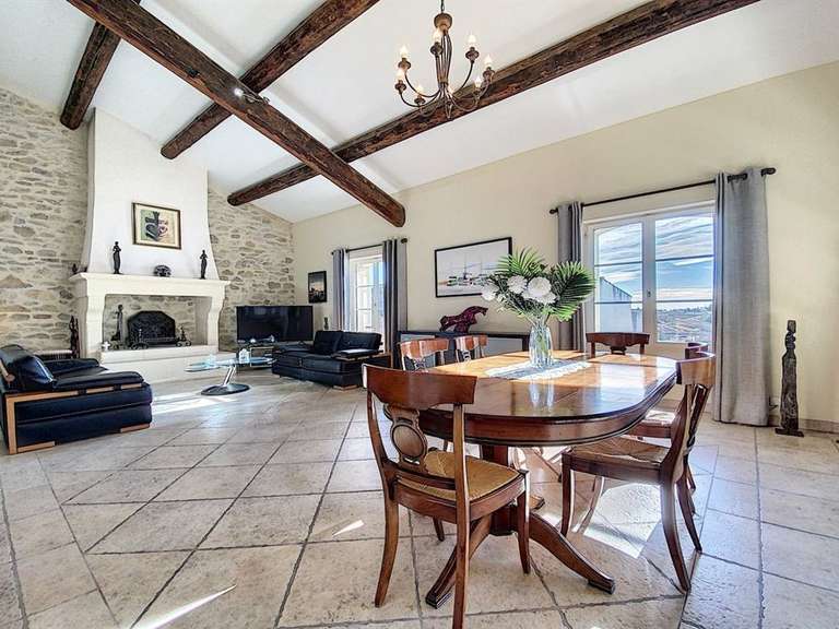House Saint-Laurent-d'Aigouze - 6 bedrooms - 300m²