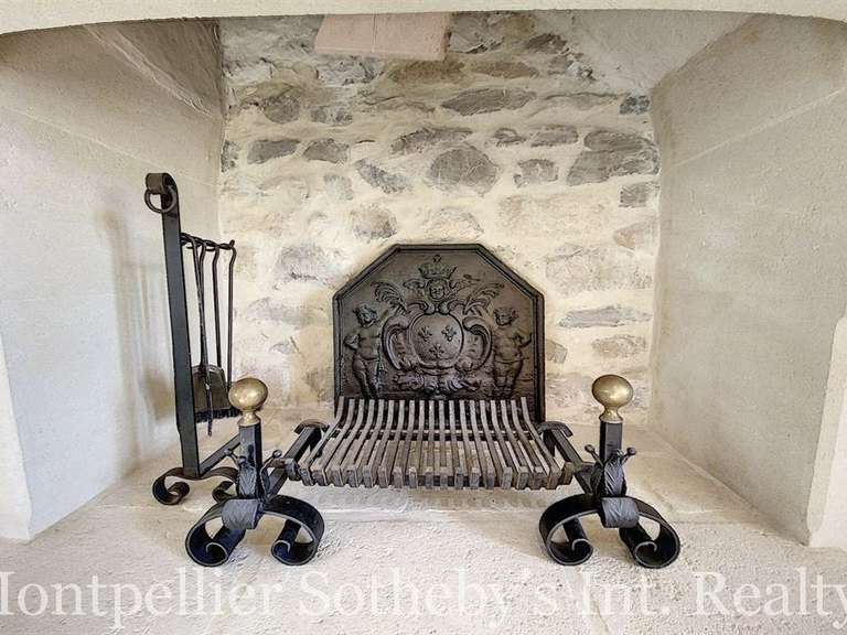 Maison Saint-Laurent-d'Aigouze - 6 chambres - 300m²