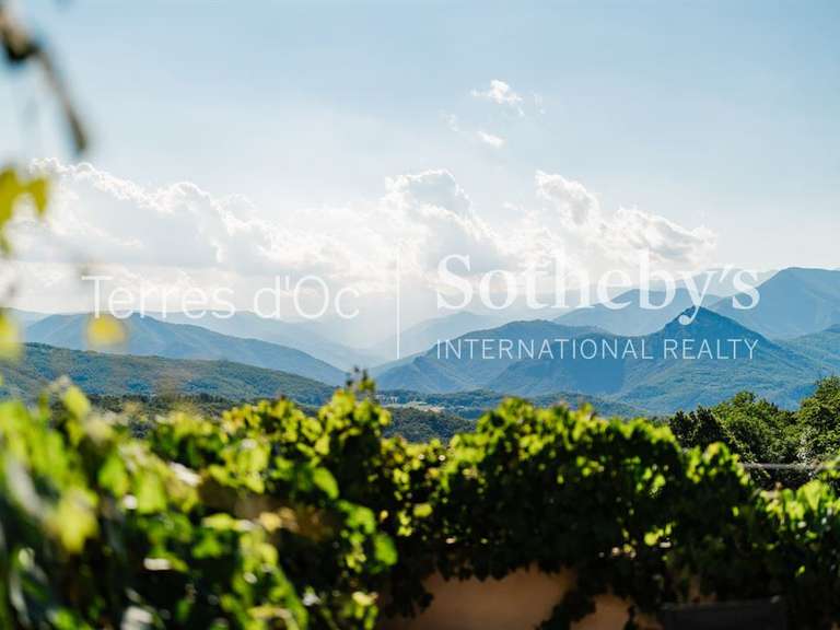 Maison Saint-Laurent-de-Cerdans - 7 chambres - 411m²