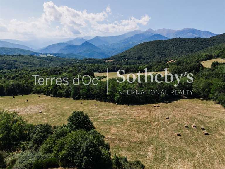 Maison Saint-Laurent-de-Cerdans - 7 chambres - 411m²