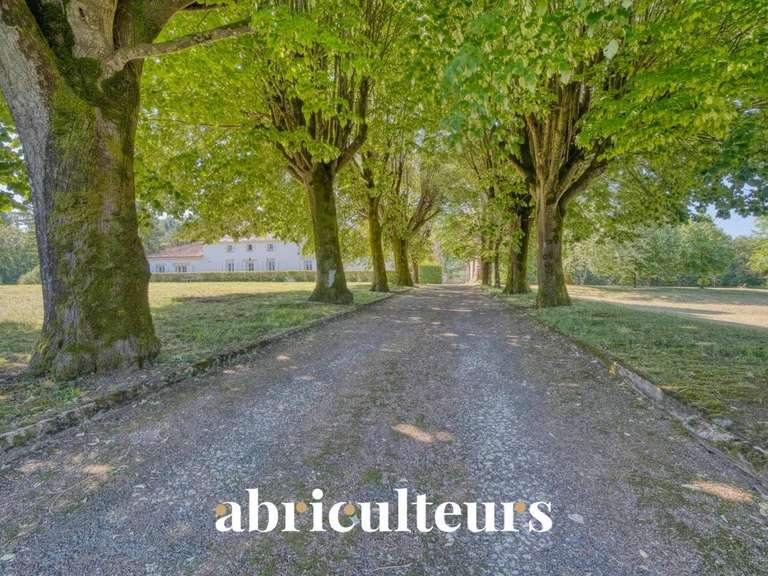 Maison Saint-Laurent-de-Cognac - 4 chambres - 270m²