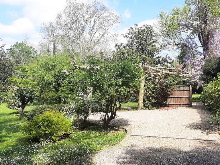 Villa Saint-Laurent-de-Gosse - 6 chambres - 387m²