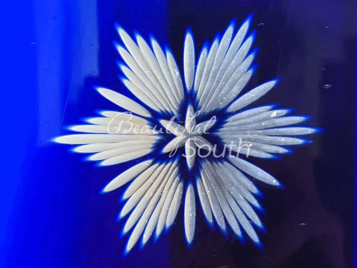 Hôtel particulier Saint-Laurent-de-la-Cabrerisse