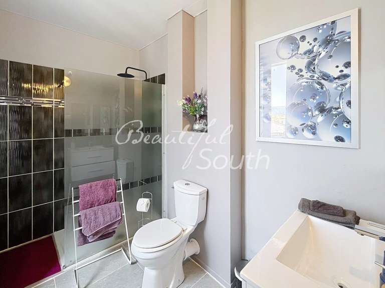 Maison Saint-Laurent-de-la-Cabrerisse - 4 chambres - 500m²