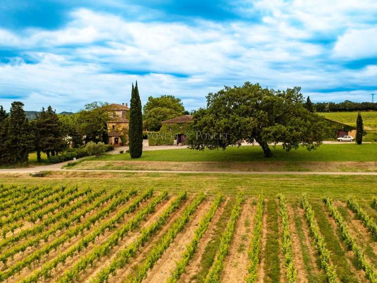 Château Saint-Laurent-des-Arbres - 10 chambres - 814m²