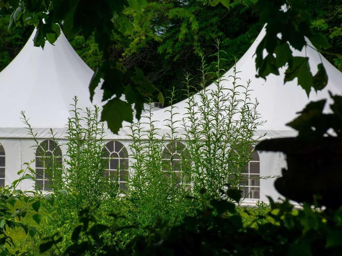 Château Saint-Laurent-des-Arbres