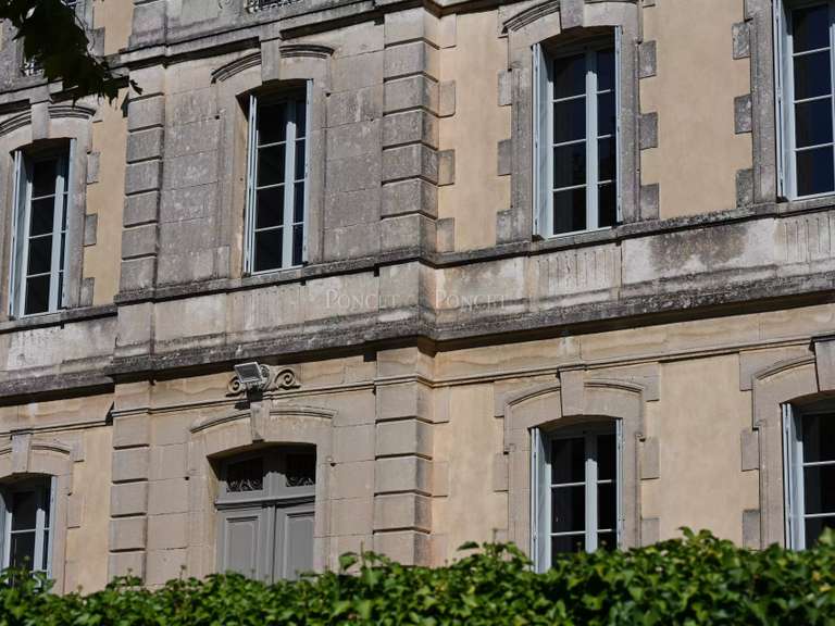 Château Saint-Laurent-des-Arbres - 10 chambres - 814m²