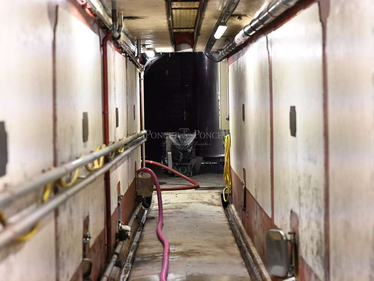 Château Saint-Laurent-des-Arbres