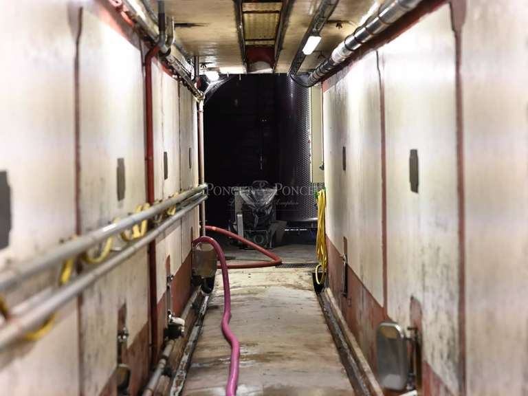 Château Saint-Laurent-des-Arbres - 10 chambres - 814m²