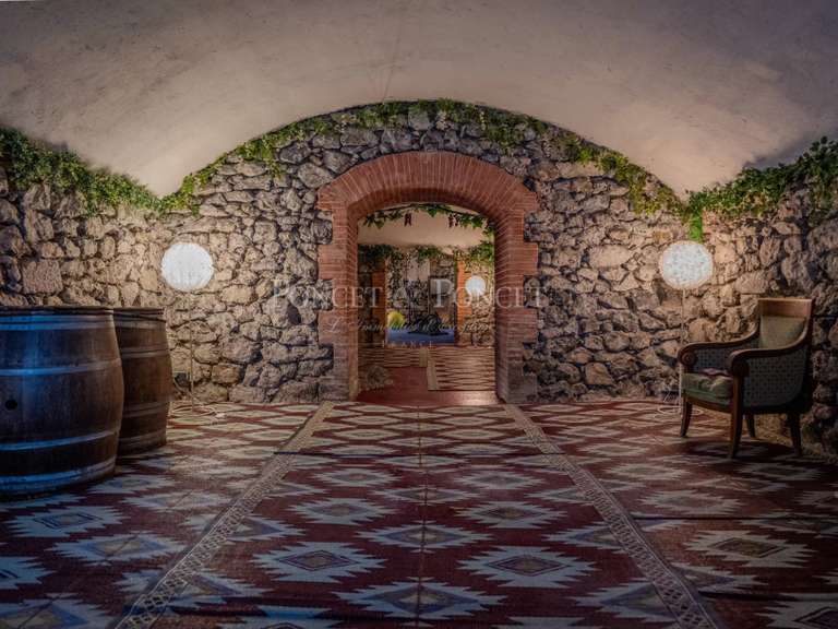 Château Saint-Lizier - 17 chambres - 1500m²