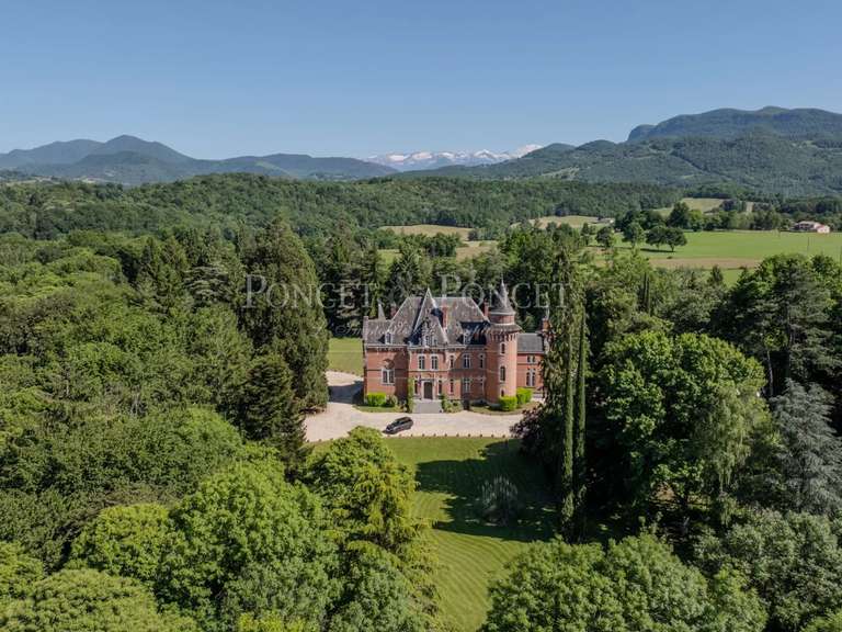 Château Saint-Lizier - 17 chambres - 1500m²