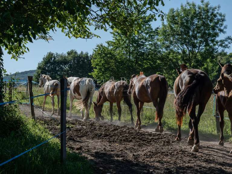 Château Saint-Lizier - 17 chambres - 1500m²