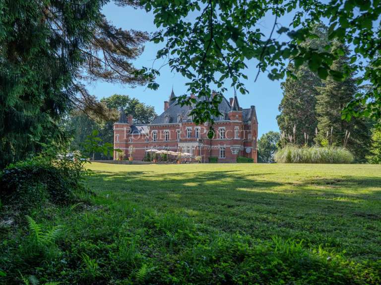 Château Saint-Lizier - 17 chambres - 1500m²
