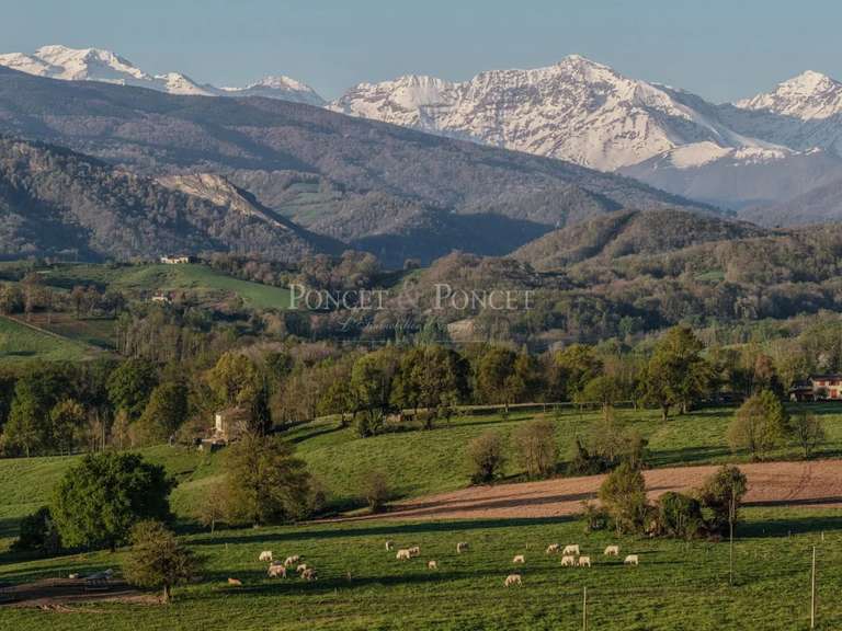 Château Saint-Lizier - 17 chambres - 1500m²