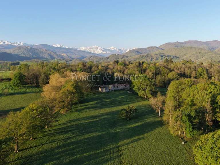 Château Saint-Lizier - 17 chambres - 1500m²
