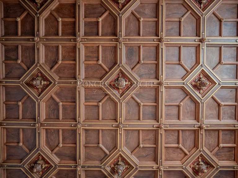 Château Saint-Lizier - 17 chambres - 1500m²