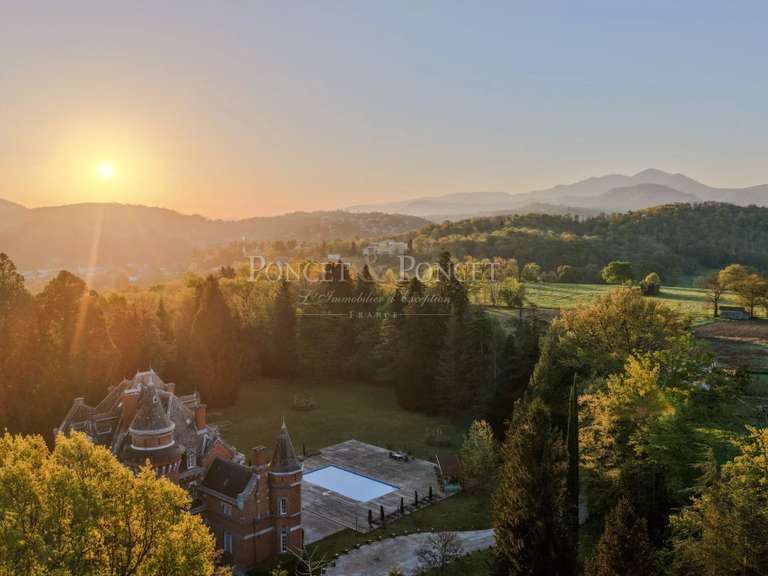 Château Saint-Lizier - 17 chambres - 1500m²