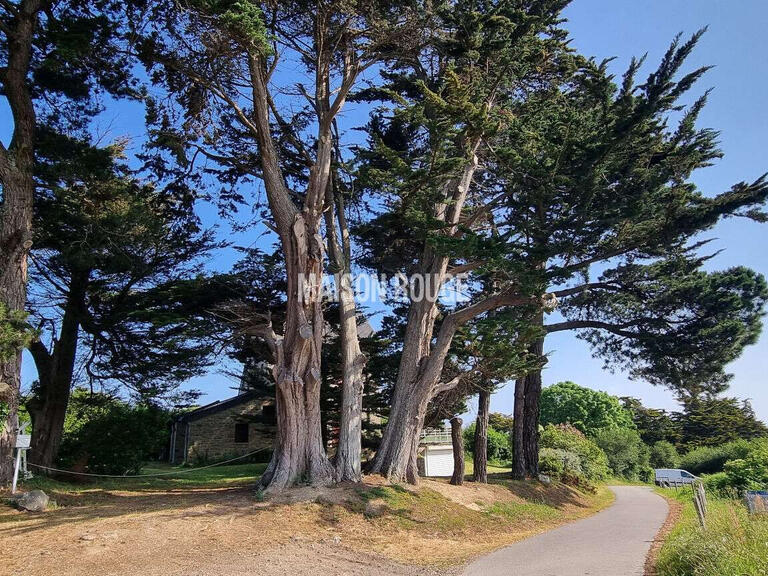 Maison Saint-Lunaire - 4 chambres
