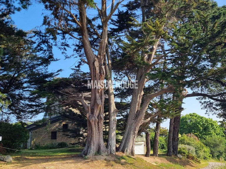 Maison Saint-Lunaire - 4 chambres
