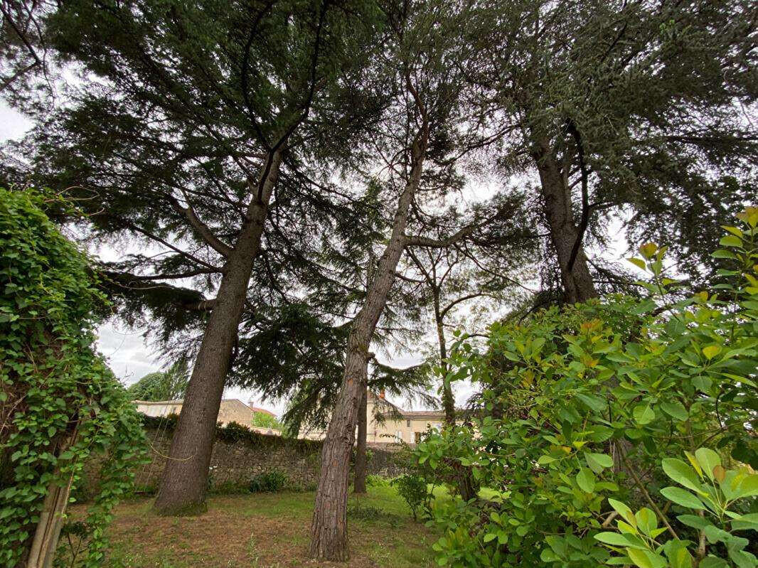 Property Saint-Macaire