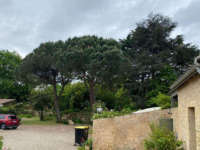 Propriété Saint-Macaire - 7 chambres