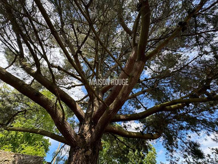 House Saint-Malo - 3 bedrooms