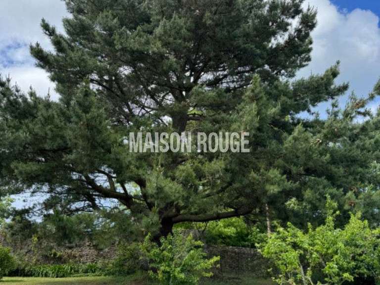 House Saint-Malo - 3 bedrooms